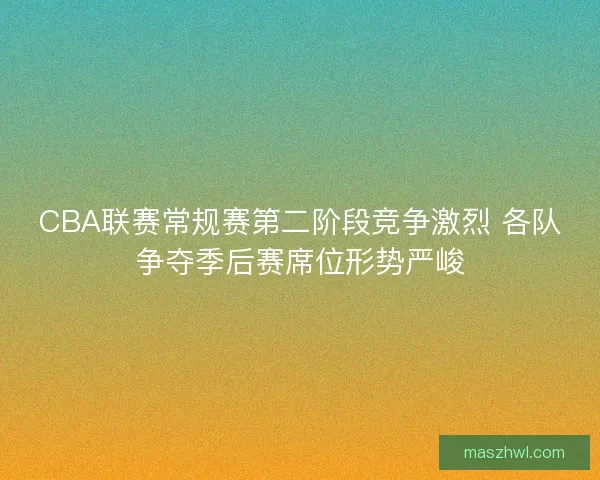 CBA联赛常规赛第二阶段竞争激烈 各队争夺季后赛席位形势严峻